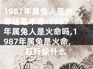 1987年属兔人是火命还是木命-1987年属兔人是火命吗,1987年属兔是火命,五行缺什么