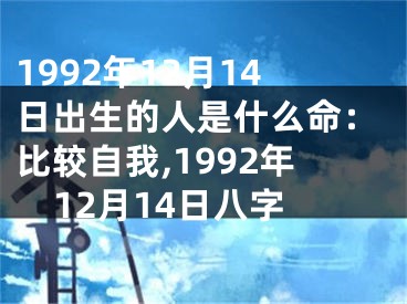 1992年12月14日出生的人是什么命：比较自我,1992年12月14日八字