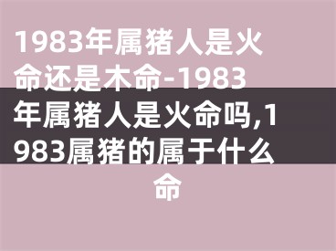 1983年属猪人是火命还是木命-1983年属猪人是火命吗,1983属猪的属于什么命