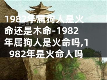 1982年属狗人是火命还是木命-1982年属狗人是火命吗,1982年是火命人吗