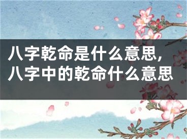 八字乾命是什么意思,八字中的乾命什么意思
