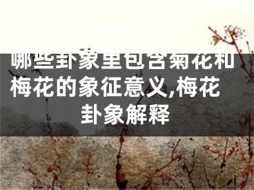 哪些卦象里包含菊花和梅花的象征意义,梅花卦象解释