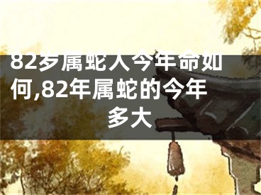 82岁属蛇人今年命如何,82年属蛇的今年多大