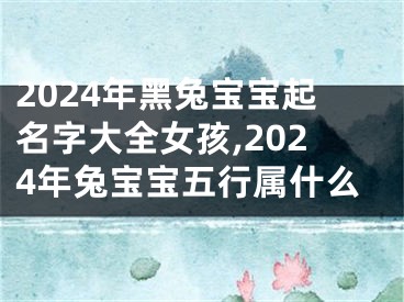 2024年黑兔宝宝起名字大全女孩,2024年兔宝宝五行属什么