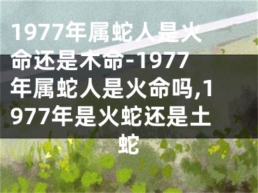 1977年属蛇人是火命还是木命-1977年属蛇人是火命吗,1977年是火蛇还是土蛇
