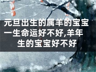 元旦出生的属羊的宝宝一生命运好不好,羊年生的宝宝好不好