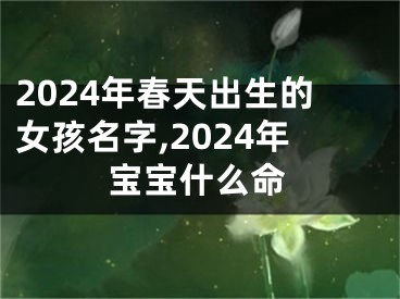 2024年春天出生的女孩名字,2024年宝宝什么命