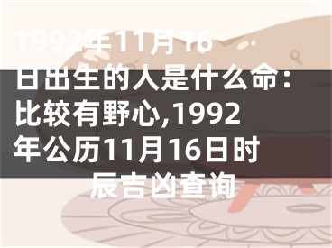1992年11月16日出生的人是什么命：比较有野心,1992年公历11月16日时辰吉凶查询