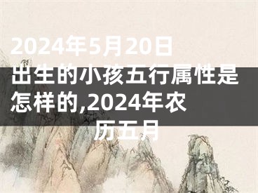 2024年5月20日出生的小孩五行属性是怎样的,2024年农历五月