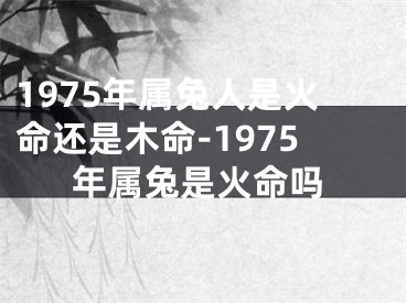 1975年属兔人是火命还是木命-1975年属兔是火命吗