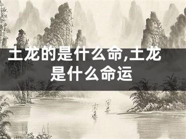 土龙的是什么命,土龙是什么命运