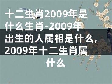 十二生肖2009年是什么生肖-2009年出生的人属相是什么,2009年十二生肖属什么