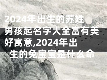 2024年出生的苏姓男孩起名字大全富有美好寓意,2024年出生的兔宝宝是什么命