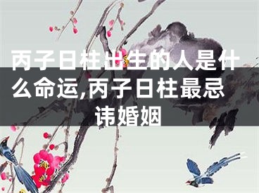 丙子日柱出生的人是什么命运,丙子日柱最忌讳婚姻