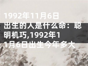 1992年11月6日出生的人是什么命：聪明机巧,1992年11月6日出生今年多大
