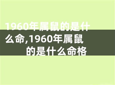 1960年属鼠的是什么命,1960年属鼠的是什么命格