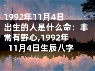 1992年11月4日出生的人是什么命：非常有野心,1992年11月4日生辰八字