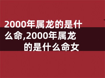 2000年属龙的是什么命,2000年属龙的是什么命女