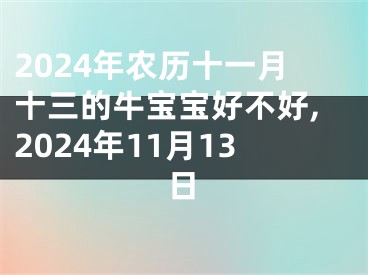 2024年农历十一月十三的牛宝宝好不好,2024年11月13日