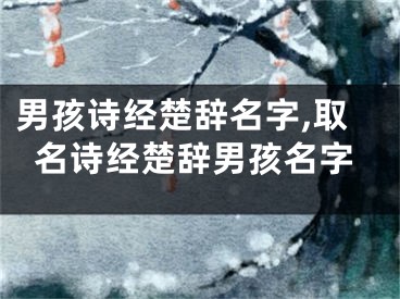 男孩诗经楚辞名字,取名诗经楚辞男孩名字