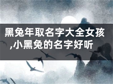 黑兔年取名字大全女孩,小黑兔的名字好听