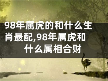 98年属虎的和什么生肖最配,98年属虎和什么属相合财