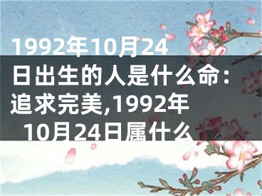 1992年10月24日出生的人是什么命：追求完美,1992年10月24日属什么