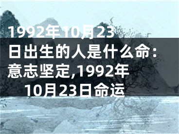 1992年10月23日出生的人是什么命：意志坚定,1992年10月23日命运