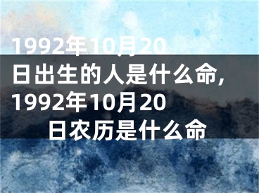 1992年10月20日出生的人是什么命,1992年10月20日农历是什么命