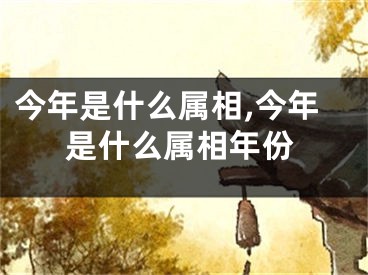 今年是什么属相,今年是什么属相年份