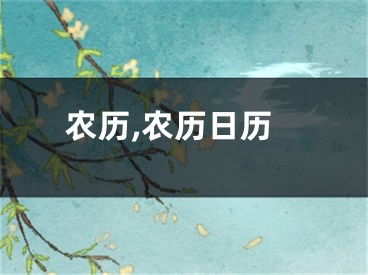 农历,农历日历