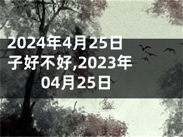2024年4月25日子好不好,2023年04月25日