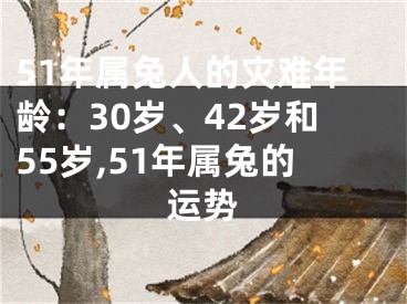 51年属兔人的灾难年龄：30岁、42岁和55岁,51年属兔的运势