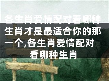 各生肖爱情配对看哪种生肖才是最适合你的那一个,各生肖爱情配对看哪种生肖