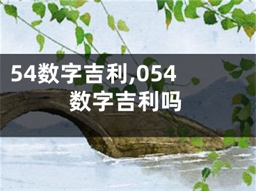 54数字吉利,054数字吉利吗