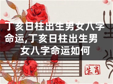 丁亥日柱出生男女八字命运,丁亥日柱出生男女八字命运如何