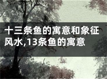 十三条鱼的寓意和象征风水,13条鱼的寓意