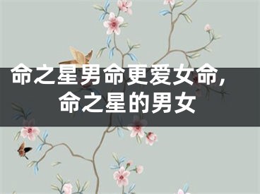 命之星男命更爱女命,命之星的男女