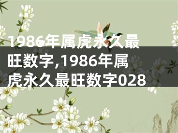 1986年属虎永久最旺数字,1986年属虎永久最旺数字028