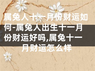 属兔人十一月份财运如何-属兔人出生十一月份财运好吗,属兔十一月财运怎么样
