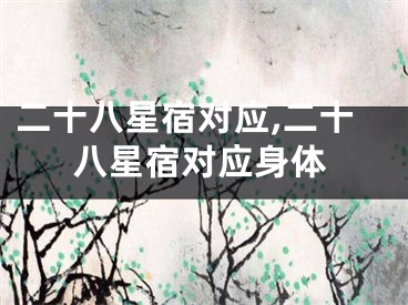 二十八星宿对应,二十八星宿对应身体