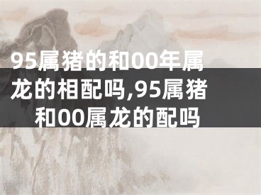 95属猪的和00年属龙的相配吗,95属猪和00属龙的配吗