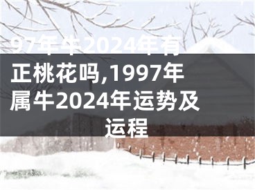 97年牛2024年有正桃花吗,1997年属牛2024年运势及运程