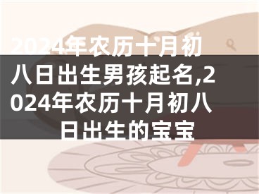 2024年农历十月初八日出生男孩起名,2024年农历十月初八日出生的宝宝