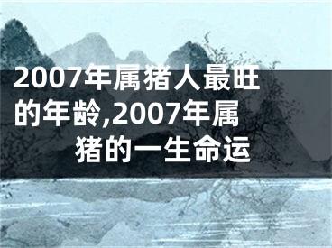 2007年属猪人最旺的年龄,2007年属猪的一生命运
