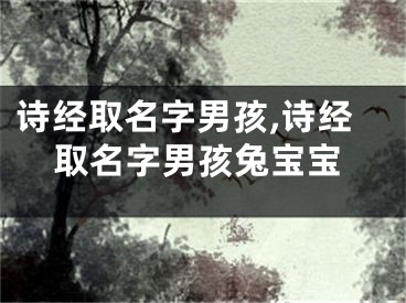 诗经取名字男孩,诗经取名字男孩兔宝宝