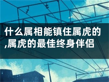 什么属相能镇住属虎的,属虎的最佳终身伴侣