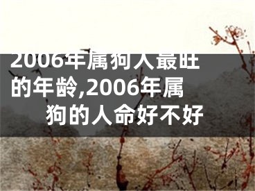 2006年属狗人最旺的年龄,2006年属狗的人命好不好