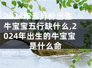 2024年五月份出生牛宝宝五行缺什么,2024年出生的牛宝宝是什么命