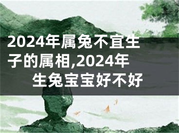 2024年属兔不宜生子的属相,2024年生兔宝宝好不好